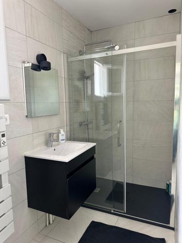 une salle de bain avec un lavabo et une douche en verre dans l'établissement Chambre Ramonville-Saint-Agne, à Ramonville-Saint-Agne
