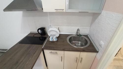 Dapur atau dapur kecil di Cozy Quiet Apartment Nis