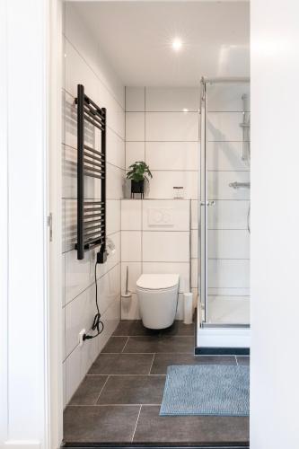 a bathroom with a toilet and a shower at XL home 2BR near university and supermarket in Tilburg