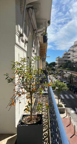 Appartement d'exception Croisette Palais