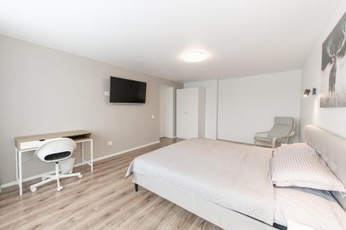 TV a/nebo společenská místnost v ubytování Stiklo Apartamentai