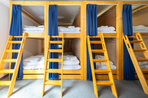 Palanda nebo palandy na pokoji v ubytování Dormitory Kinshu - ドミトリー錦繍