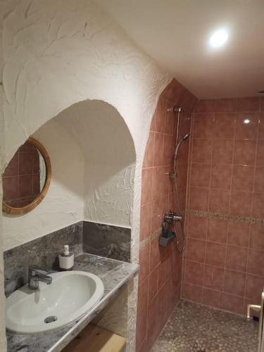 une salle de bain avec un lavabo et une douche dans l'établissement Studio confort, à Saint-Ambroix