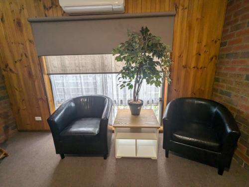 two black leather chairs and a table with a potted plant at Kyabram Country Motel in Kyabram