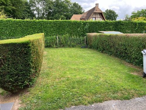 a hedge with green grass and a house in the background at La Gitounette de Caux in Yvetot