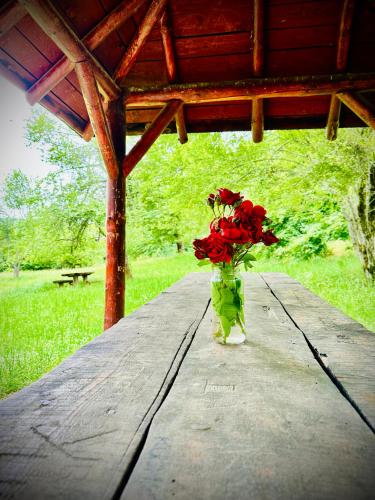 a vase filled with red flowers sitting on a table at The Green Apartments in Magarevo