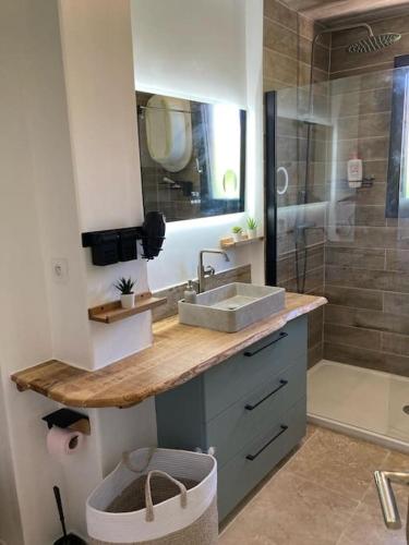 un bagno con lavandino e doccia di Maison familiale a Le Pradet
