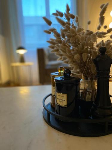 Appartement de standing hyper centre