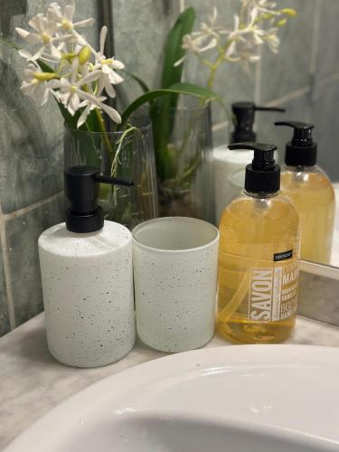 3 bouteilles de savon sur un lavabo dans l'établissement Antibes centre-ville, 2 bedrooms 6 pers, Climatisation, à Antibes