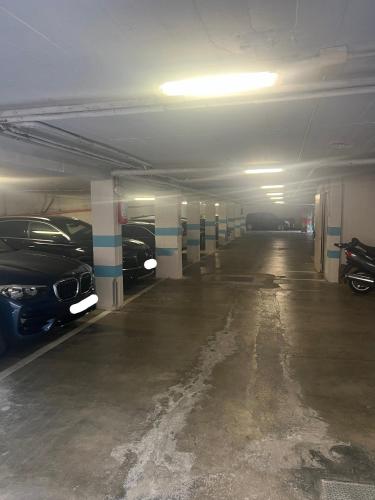 a parking garage with two cars parked in it at Hotel Astoria in Torri del Benaco
