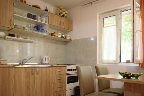 Η κουζίνα ή μικρή κουζίνα στο Apartments Cvitini Dvori Garjak