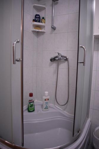 Ένα μπάνιο στο Apartments Cvitini Dvori Garjak