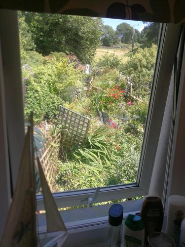 a window with a view of a garden outside at Yr Hen Farcdy in Talsarnau