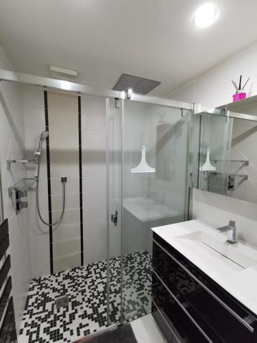 une salle de bain avec douche et lavabo dans l'établissement Le Voyage de Jade - Les Maisons de Madeleine, à Nantes