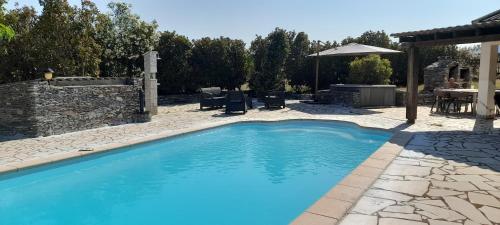 Bazén v ubytování Villa L'Alivu nebo v jeho okolí