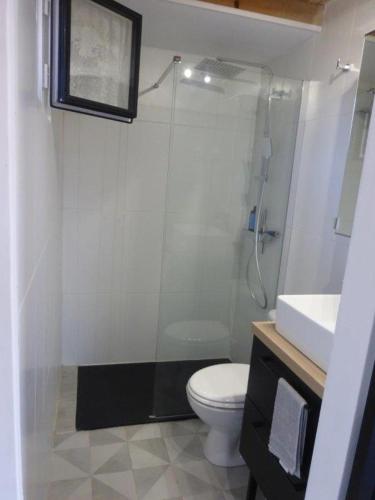 a bathroom with a shower and a toilet and a sink at Le grangeon des Hermas in Sault-de-Vaucluse