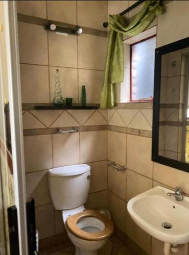 a bathroom with a toilet and a sink at Texas lodge in Phalaborwa