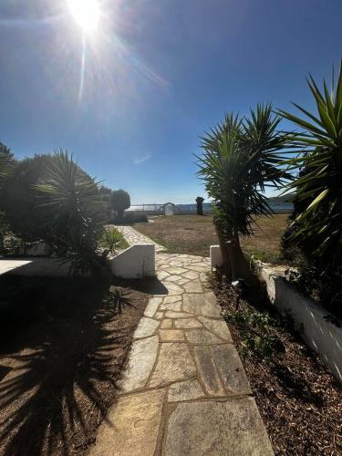 a stone walkway with palm trees and the sun at Greek White House in Toroni
