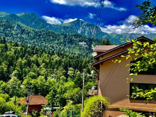 a house with a view of a mountain at Pensiunea Roua in Sinaia