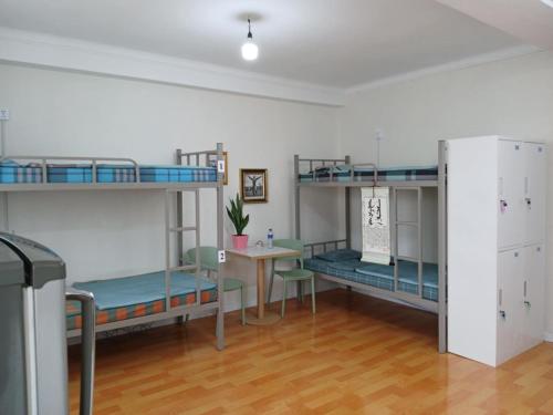 Kuchyň nebo kuchyňský kout v ubytování Lana Hostel