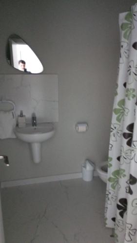 a bathroom with a sink and a shower curtain at EdMont in Pietroşiţa