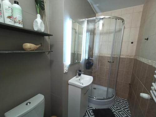 a bathroom with a shower and a toilet and a sink at Lemuria Pokoje Hostel Chojnowska A in Legnica