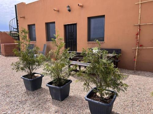 three potted trees in pots in front of a building at CASA LEÓN - Freistehendes Gästehaus mit 3 Zimmer, Vivienda Rural VTARAL01089 in Sorbas