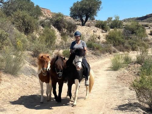 a man riding a horse with a dog on a dirt road at CASA LEÓN - Freistehendes Gästehaus mit 3 Zimmer, Vivienda Rural VTARAL01089 in Sorbas