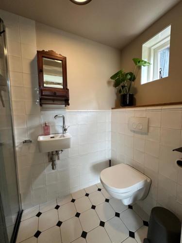 a bathroom with a toilet and a sink at B&B de Perenboom in Eck en Wiel