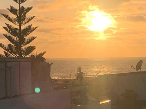 a sunset over the ocean with a palm tree at Logement bord de mer in El Harhoura