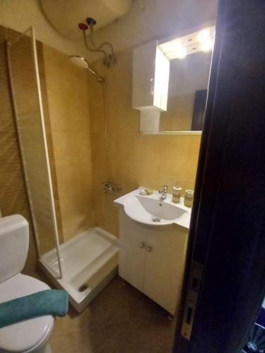 a bathroom with a sink and a shower and a toilet at Anzhela apartment in Nea Roda