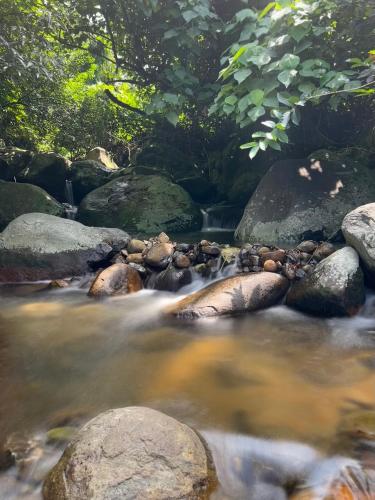 Gallery image of Sri Sentosa Chalet in Tioman Island