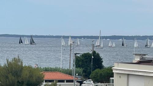 Φυσικό τοπίο κοντά σε αυτό το διαμέρισμα