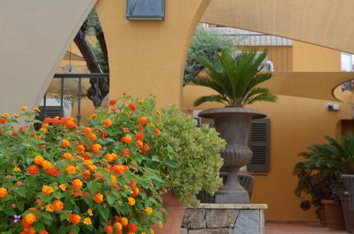 a flower garden in front of a building with orange flowers at Le Mouillage in Saint-Tropez