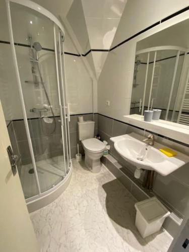 une salle de bain avec une douche, des toilettes et un lavabo dans l'établissement Appartement cosy - Dinan centre, à Dinan