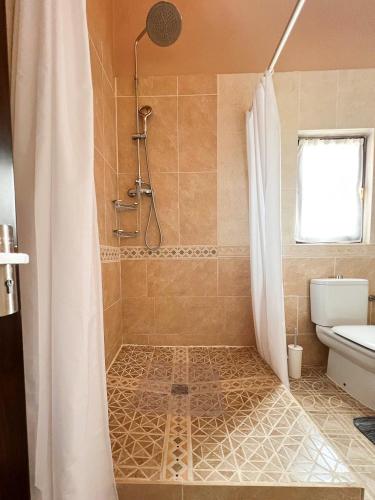 a bathroom with a shower with a toilet and a sink at CASA LEÓN - Freistehendes Gästehaus mit 3 Zimmer, Vivienda Rural VTARAL01089 in Sorbas