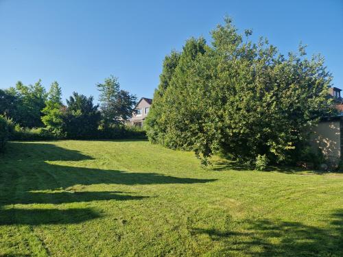 a field of grass with a tree and a house at Gästehaus "Am weißen Stein" in Cochem