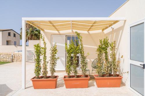 a group of plants in pots under a tent at Agrivillage San Lorenzo in San Lorenzo