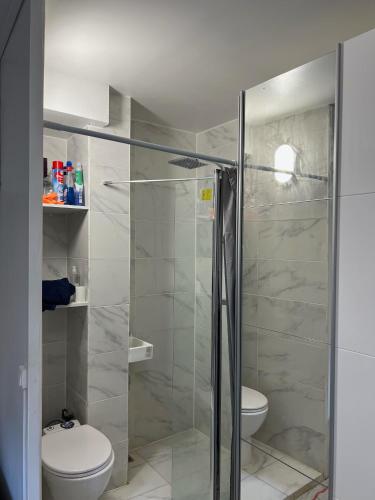 une salle de bain avec douche et toilettes dans l'établissement PARIS Tour EIFFEL, à Paris