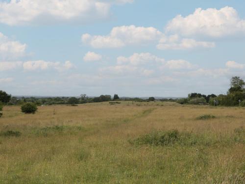 a field of grass with trees in the distance at The Turbles - Swallows Nest in Castlemorton