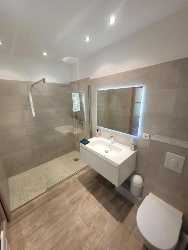 une salle de bain avec un lavabo, des toilettes et une douche dans l'établissement Le Mas Les Salamandres, à Lorgues