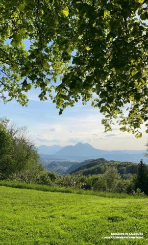 a view of a green field with mountains in the background at Chez Nous en fait in Salzburg
