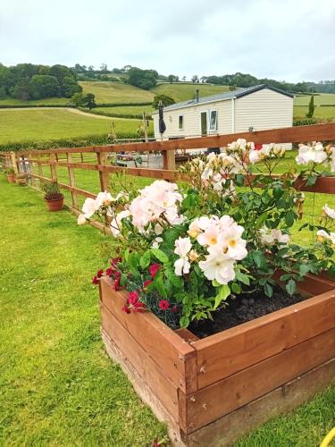 a wooden box filled with flowers in a yard at Rose Corner in Axminster