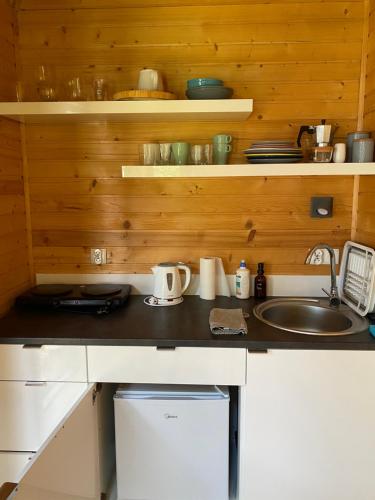 Gallery image of Beskid na Drzewie in Tylawa