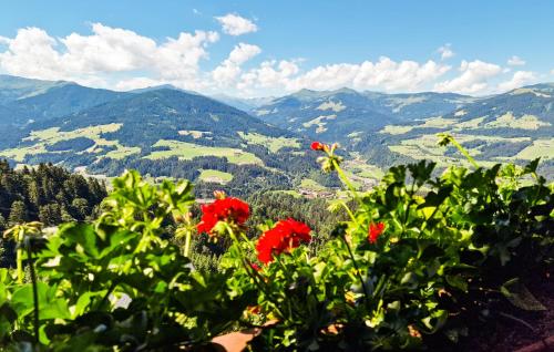 a view of mountains with red flowers in the foreground at Apartment Blick Hohen Salve in Hopfgarten im Brixental