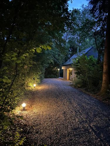 a house with two lights on a road at night at Vrijstaande luxe vakantiewoning met Jacuzzi, grote tuin, veel privacy en prachtige natuur in Geesbrug