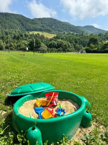 a green tub filled with sand in a field at Willa Wioletta in Tylmanowa
