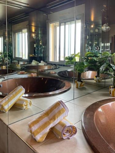 une salle de bain avec deux lavabos et un grand miroir dans l'établissement Nid d'Aigle - Parking et vue exceptionnelle sur Carcassonne, à Carcassonne