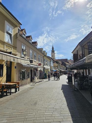 Brick Studio Apartment Tkalča
