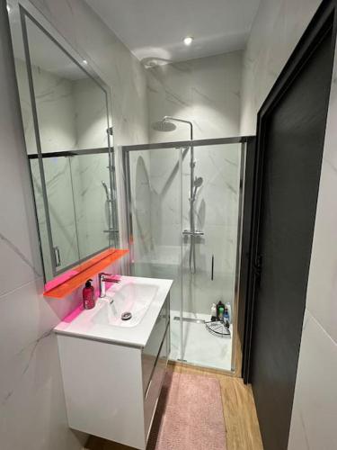 La salle de bains est pourvue d'une douche et d'un lavabo blanc. dans l'établissement Maison de Ville - Le Bourget, au Bourget